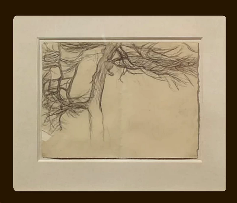 Il larice. Studio per gli alberi de ’La vita’